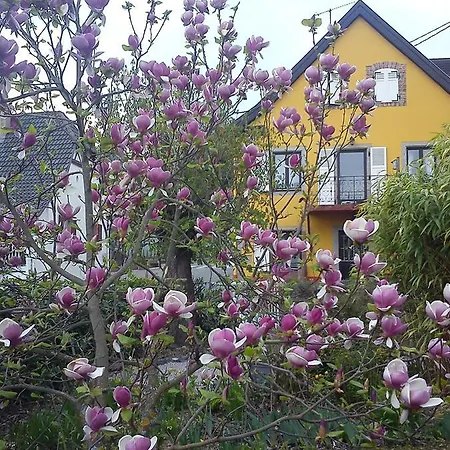 Casa de Férias Grange Des Arts